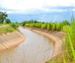 คลองชลประทานพร้อมทุ่งนา
