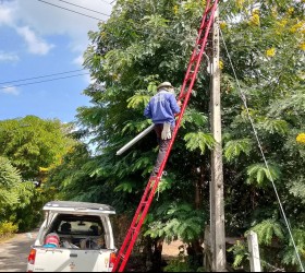 กองช่าง ออกพื้นที่ซ่อมไฟฟ้าส่องสว่าง